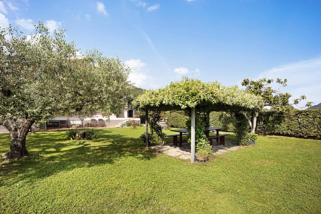 Mansarda Albero Verde Con Piscina Casanova Lerrone Exterior photo